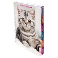 Cahier De Texte A Spirale 17 5x22 Cm Animaux Domestiques Chat Tigre Gris Noir Pas Cher A Prix Auchan