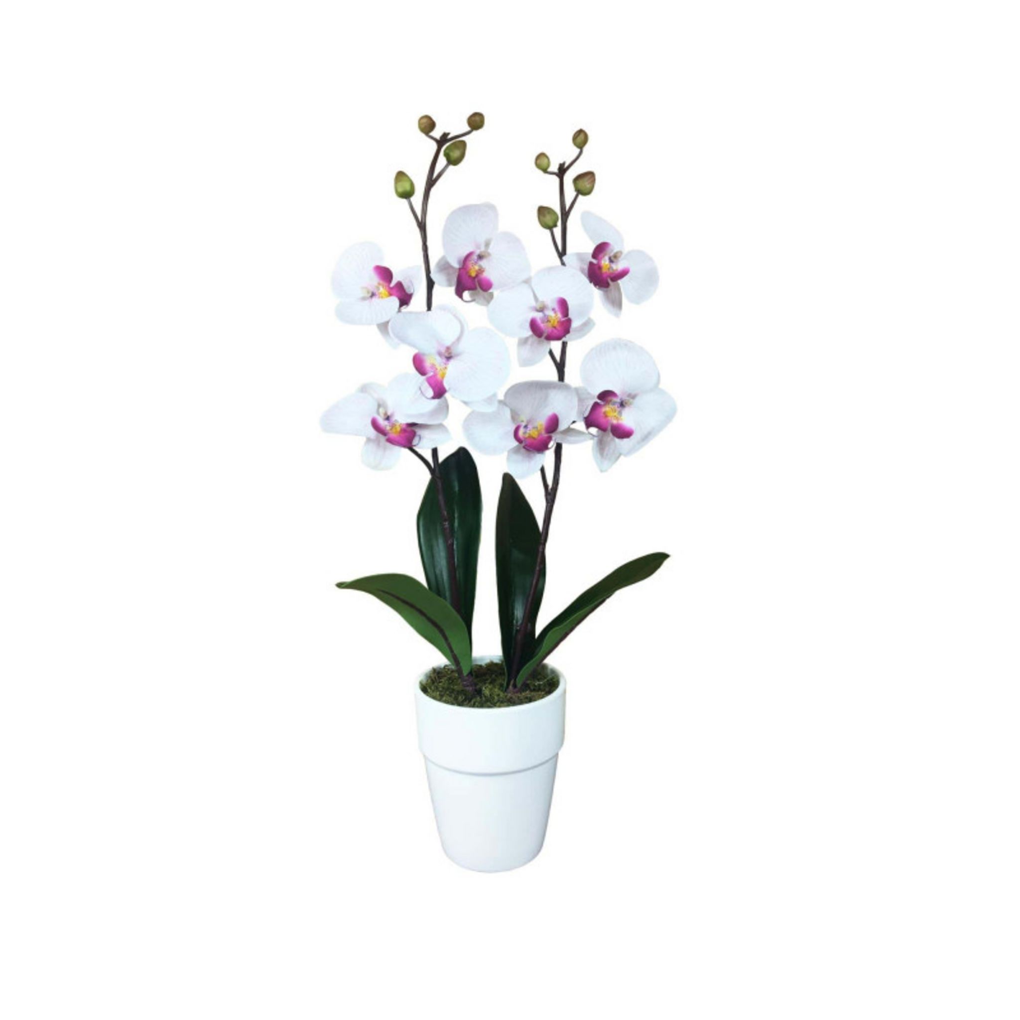 ESPACE-BRICOLAGE Composition artificielle Orchidée blanche striée mauve 2  tiges - 60cm pas cher à prix Auchan