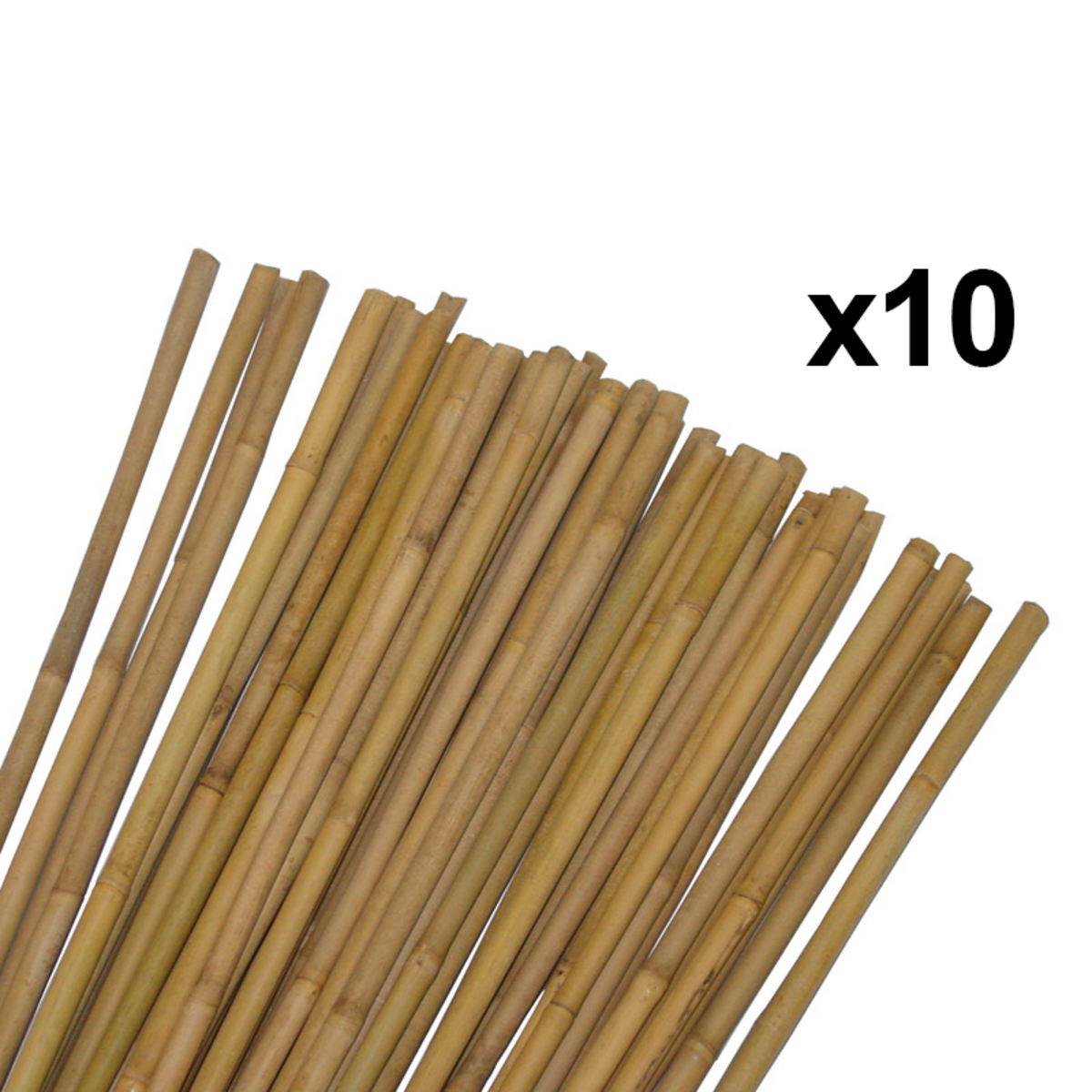 Lot de 10 tuteurs pour plantes et légumes - En bambou - Hauteur : 120 cm