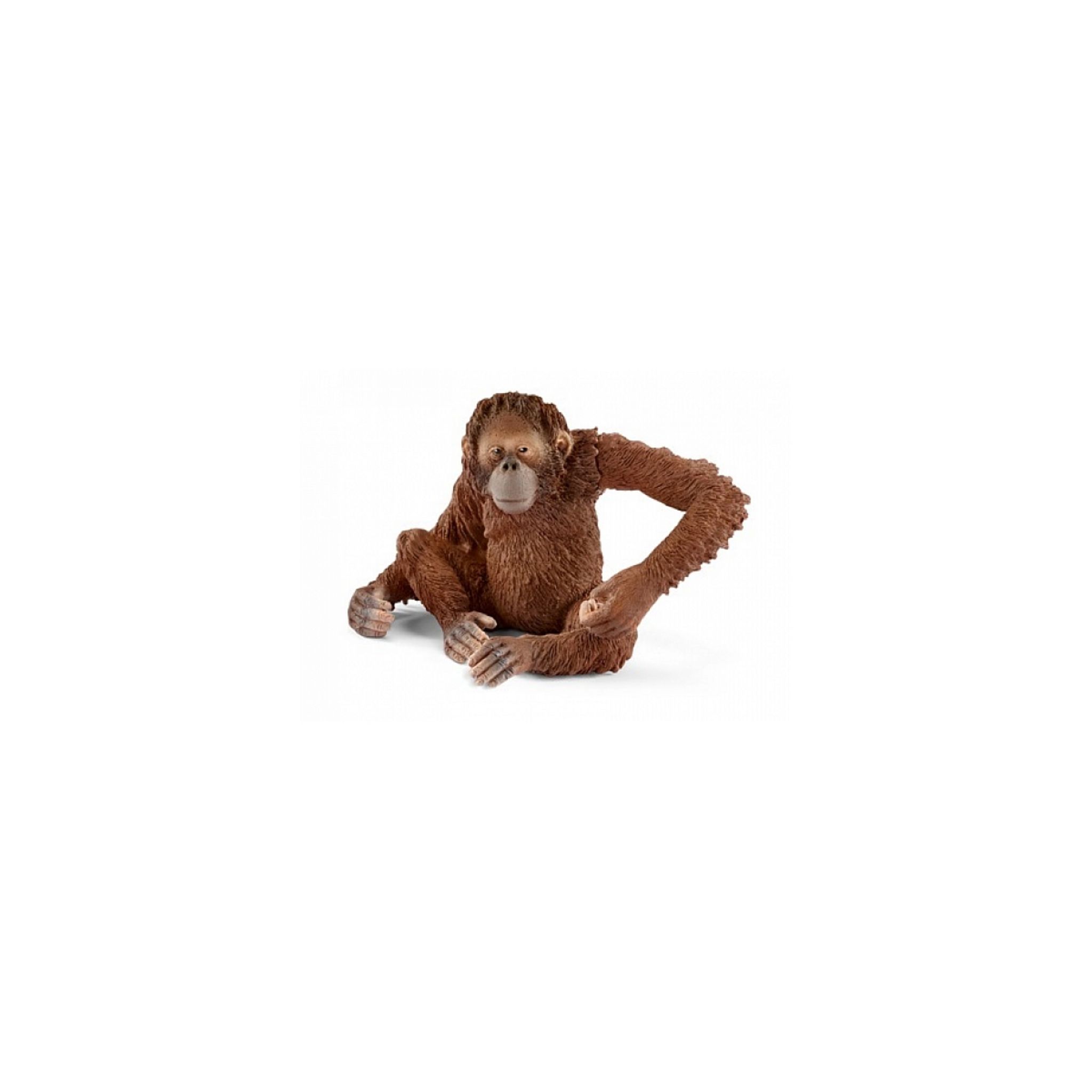 Wild vie plastique Figure Schleich 14775 orang-outan femelle avec manchon amovible Bras 