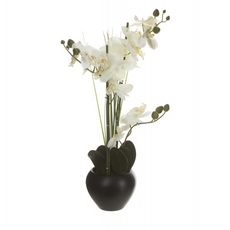 Composition Florale Orchidée & Vase Céramique 53cm Noir