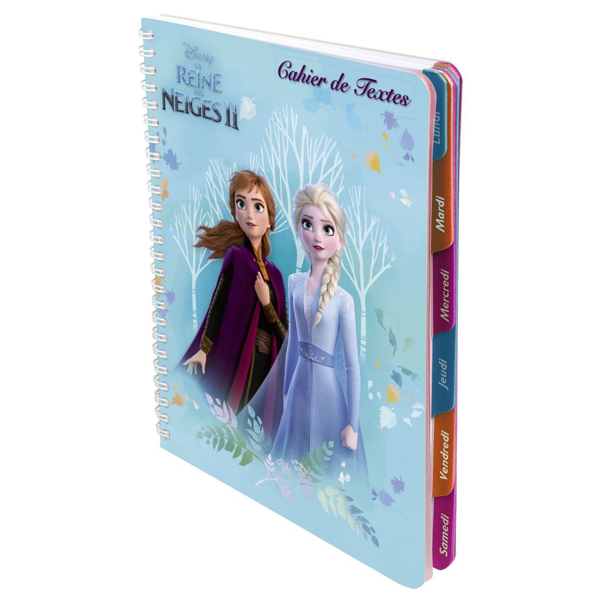 La Reine des Neiges - La Reine des Neiges - CAHIER DE TEXTE - Collectif -  broché - Achat Livre