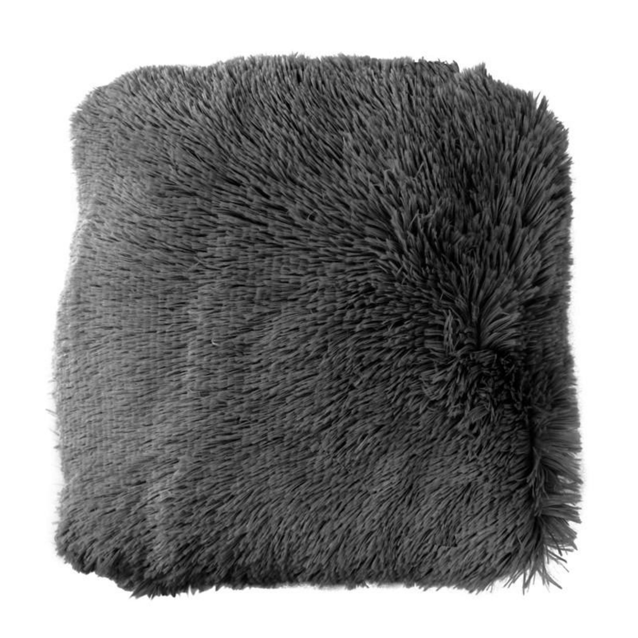 Fourrure De Petit Gris En 4 Lettres Paris Prix Coussin Imitation Fourrure Marilou 40x40cm Gris Anthracite pas  cher - Auchan.fr