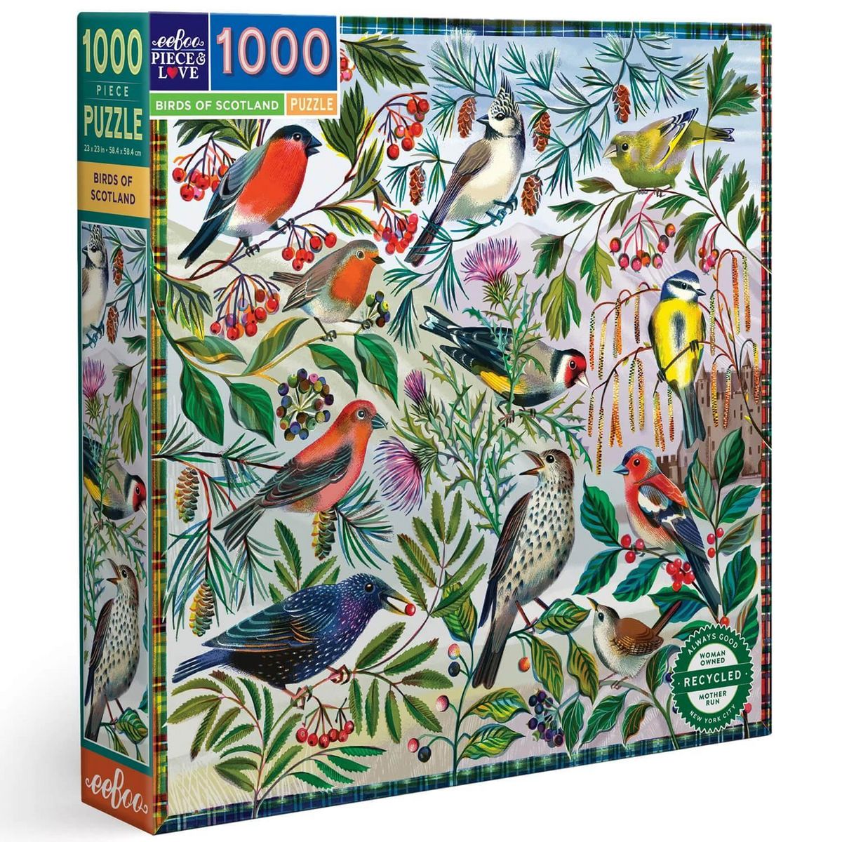 Eeboo Puzzle 1000 pièces : Oiseaux d'Ecosse