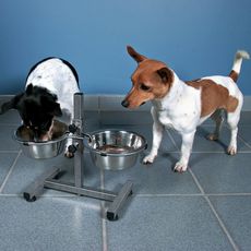 Trixie TRIXIE Support reglable de bol pour chiens 3,6 L 20 cm