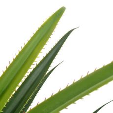 Plante artificielle avec pot Yucca Vert 145 cm