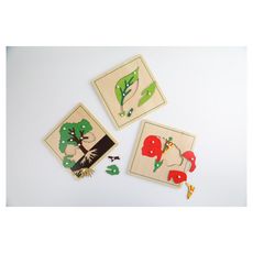 Mes puzzles botanique en bois Montessori