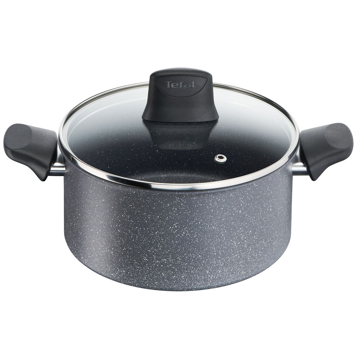 TEFAL Faitout gris + couvercle verre induction CHEF PIERRE 24 cm