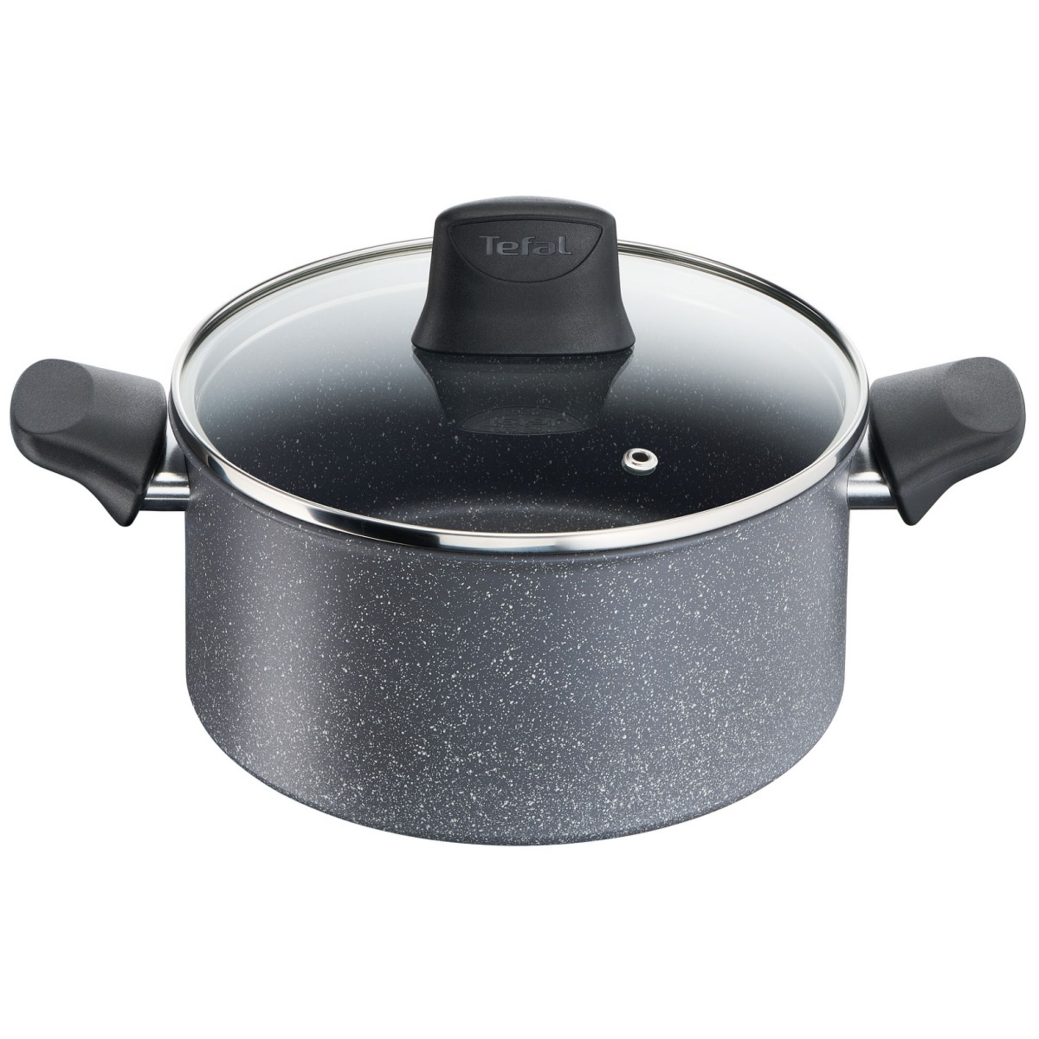 TEFAL Faitout gris + couvercle verre induction CHEF PIERRE 24 cm - 5 litres  pas cher 