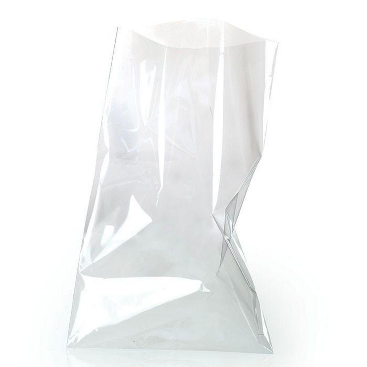 10 sachets alimentaires transparents 19 x 11 cm