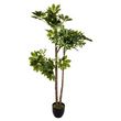  Plante Artificielle  Schefflera  135cm Vert & Noir