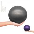 VIVEZEN Lot de 2 ballons de fitness pour pilates, gymnastique, diamètre 25 cm. Coloris disponibles : Violet, Gris