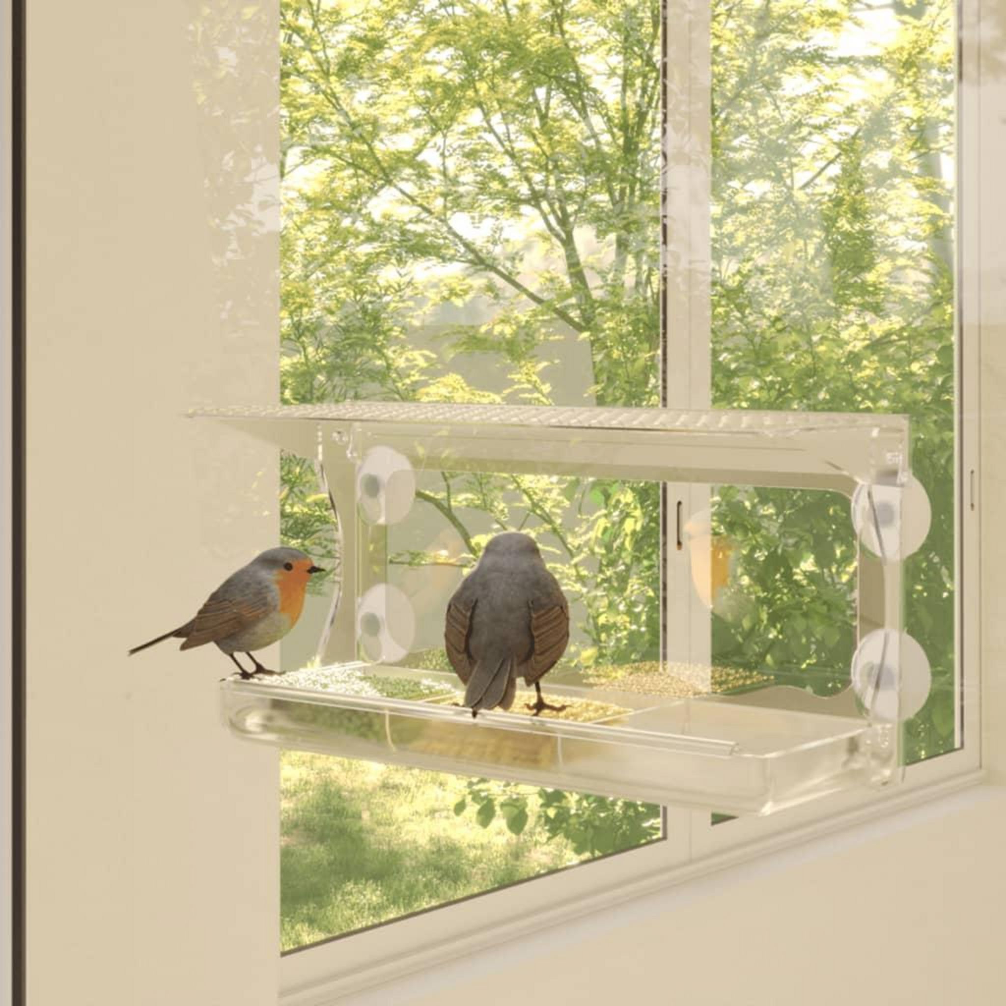 Mangeoire à oiseaux de fenêtre Suspendue avec Ventouses, Maison