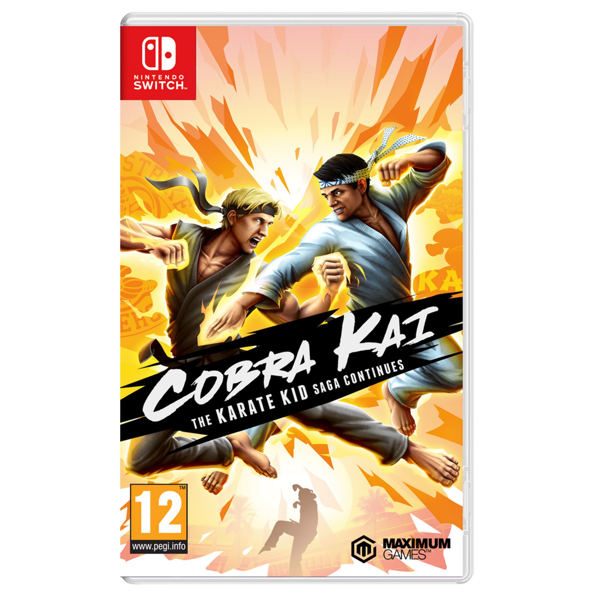 Каем игра. Cobra Kai: the Karate Kid Saga continues. Ps4 Cobra Kai. Карате игры ПС 2.