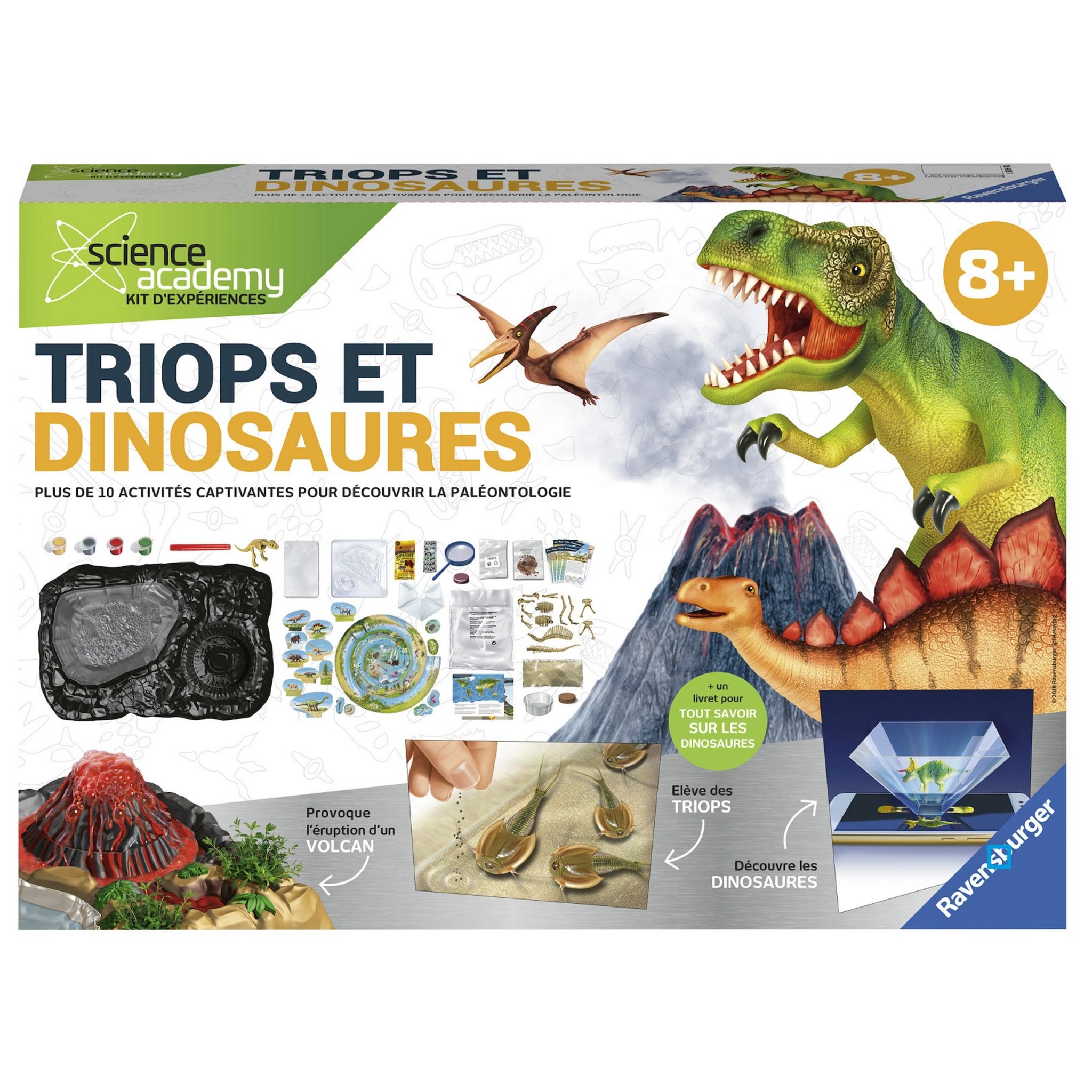 Elevage de triops / expérience n°3 