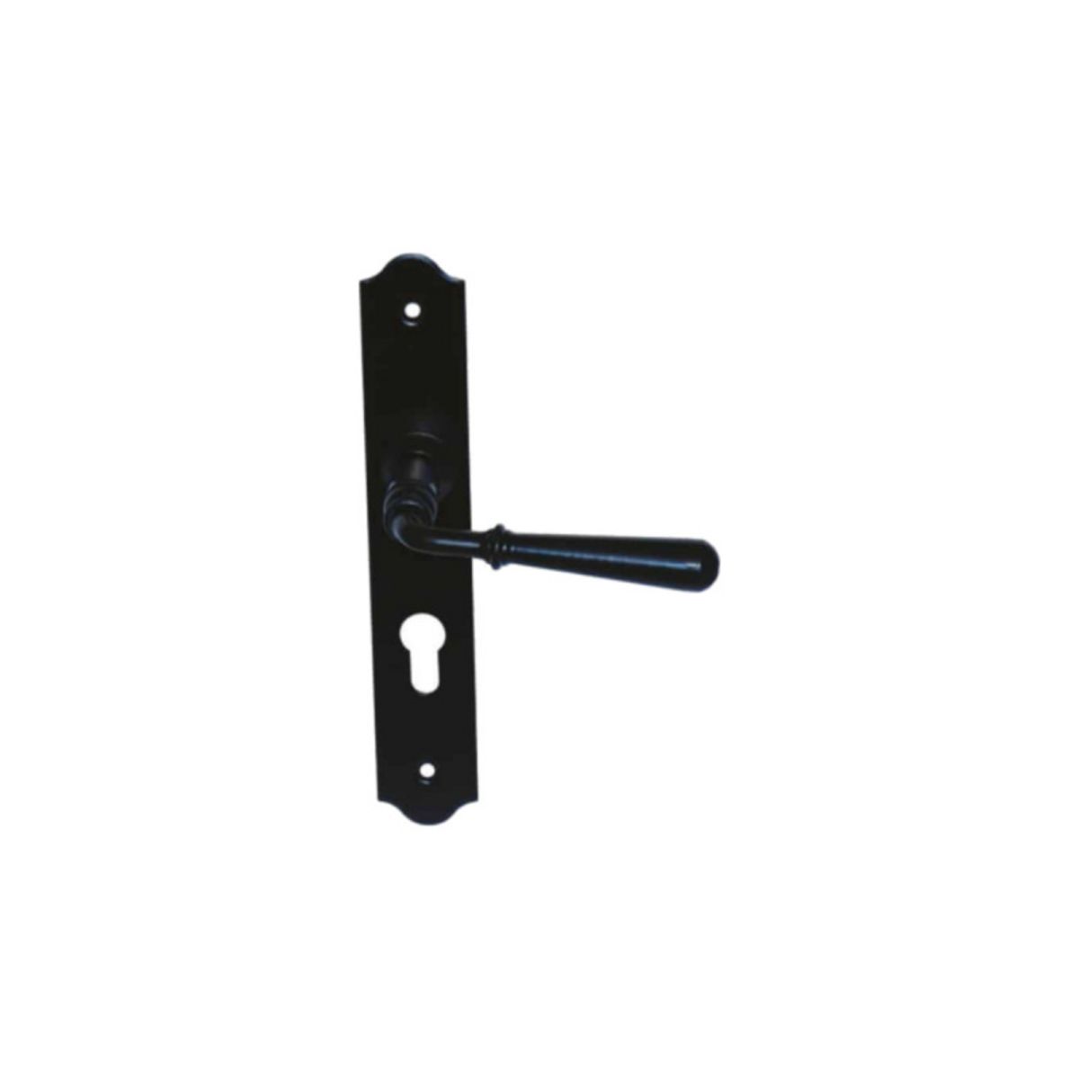 ESPACE-BRICOLAGE Poignée de porte sur plaque étroite à clé classique modèle Beynac - Fer noir