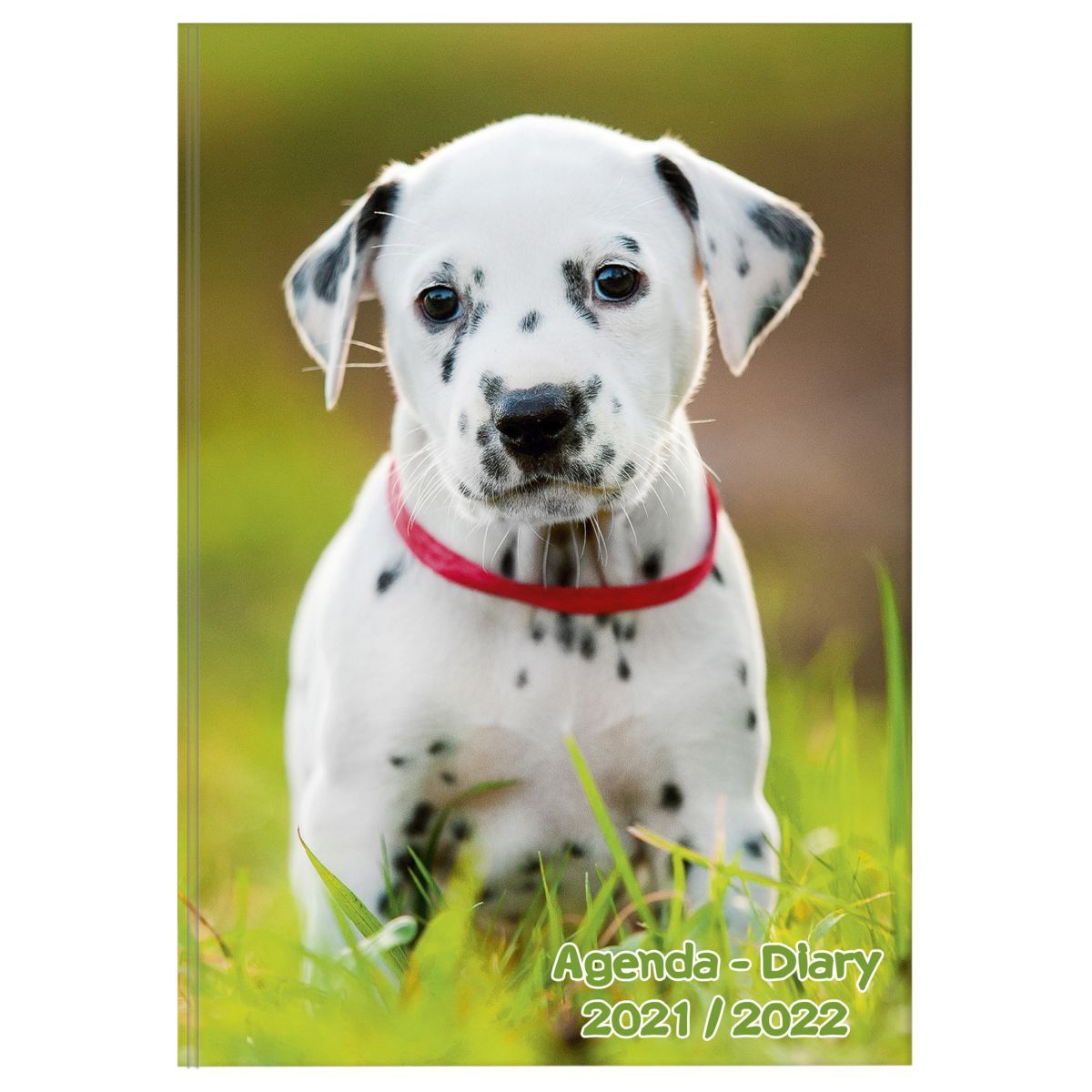 Agenda Scolaire Animaux Domestiques Chiot Dalmatien Collier Rouge 21 22 Pas Cher A Prix Auchan