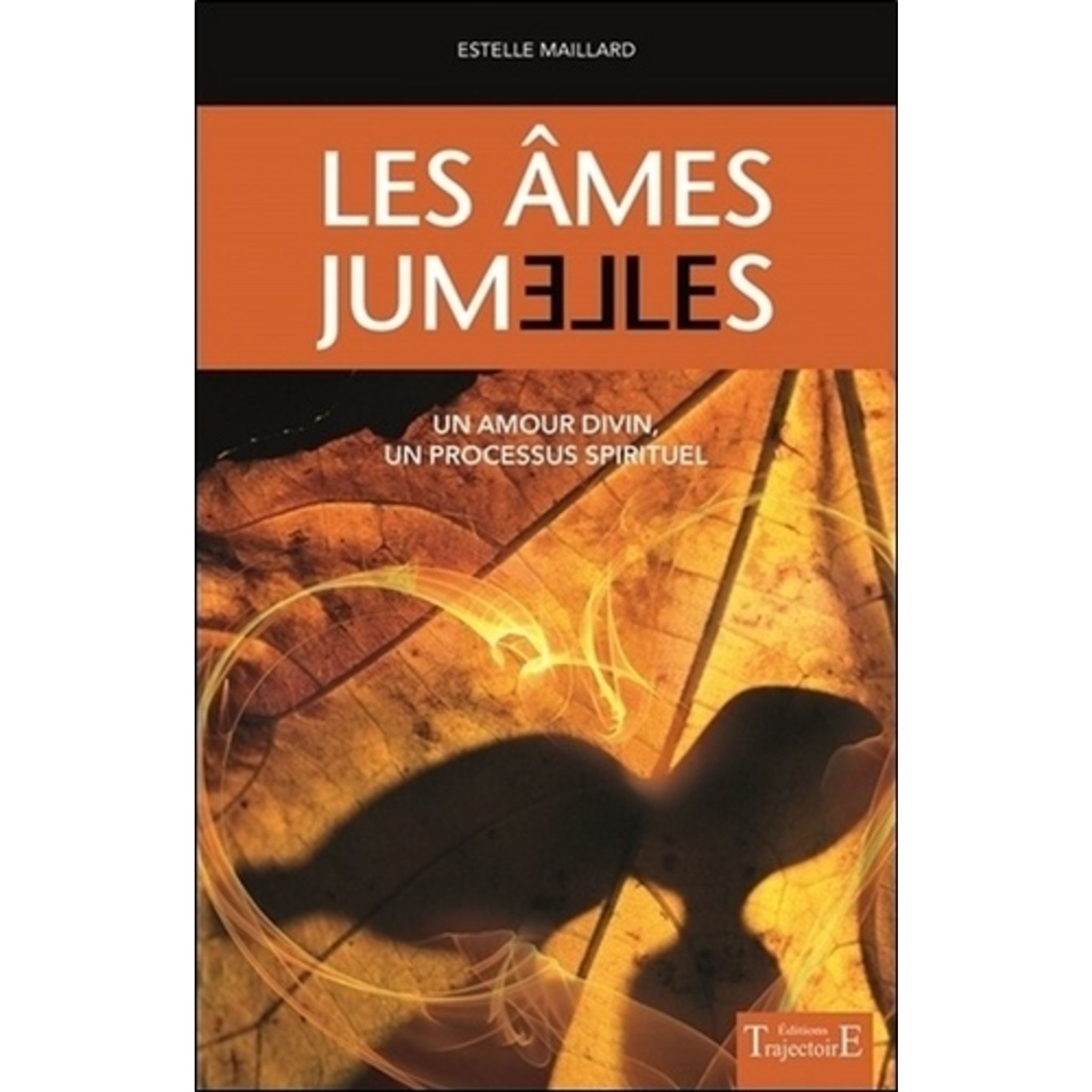 Les Ames Jumelles Un Amour Divin Un Processus Spirituel LES AMES JUMELLES : UN AMOUR DIVIN, UN PROCESSUS SPIRITUEL, Maillard  Estelle pas cher - Auchan.fr