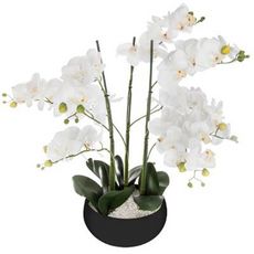  Fleur Artificielle Pot Ciment  Orchidée  65cm Noir