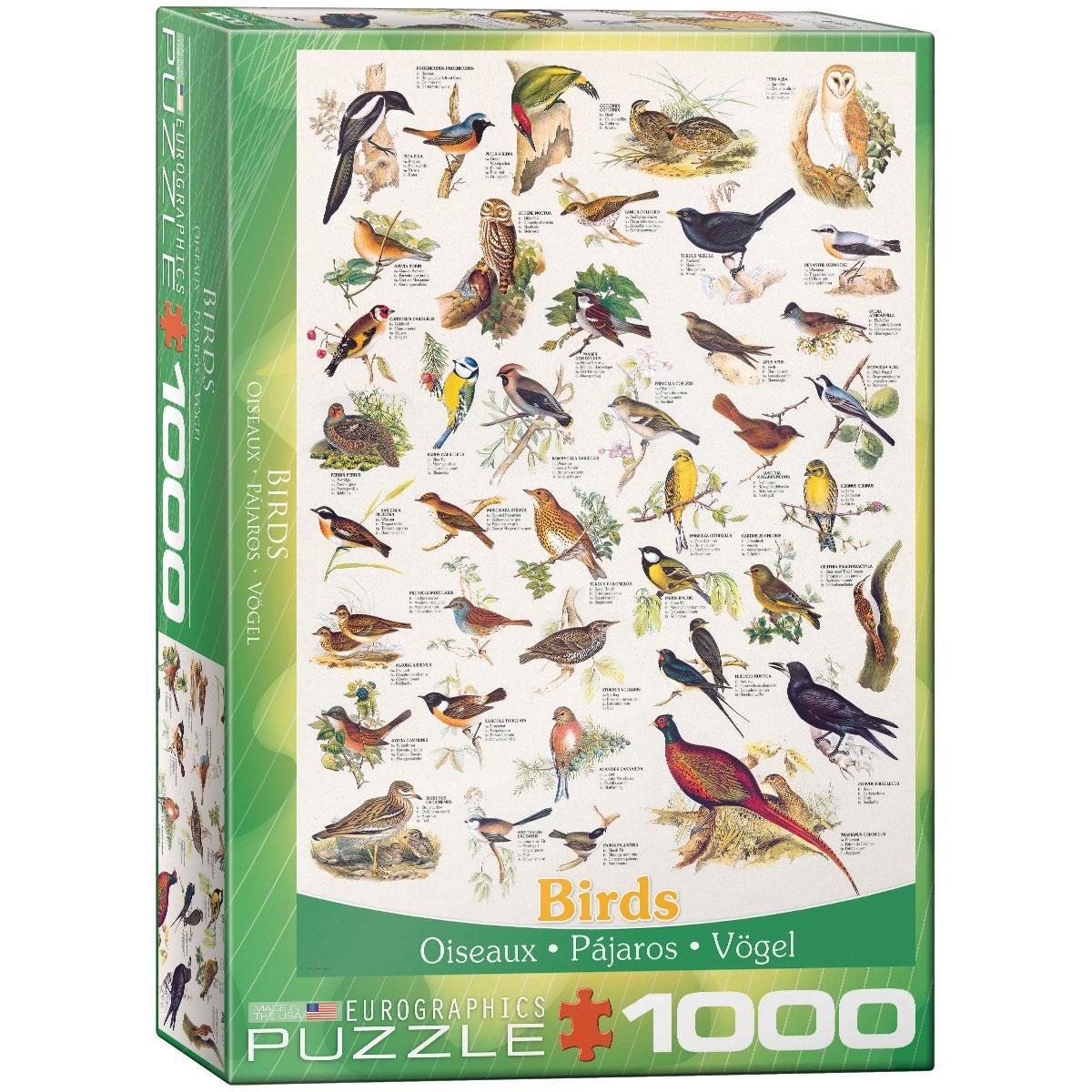 Eurographics Puzzle 1000 pièces : Charte des Oiseaux