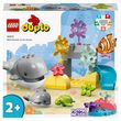 LEGO Duplo 10972 Les animaux sauvages de l'océan