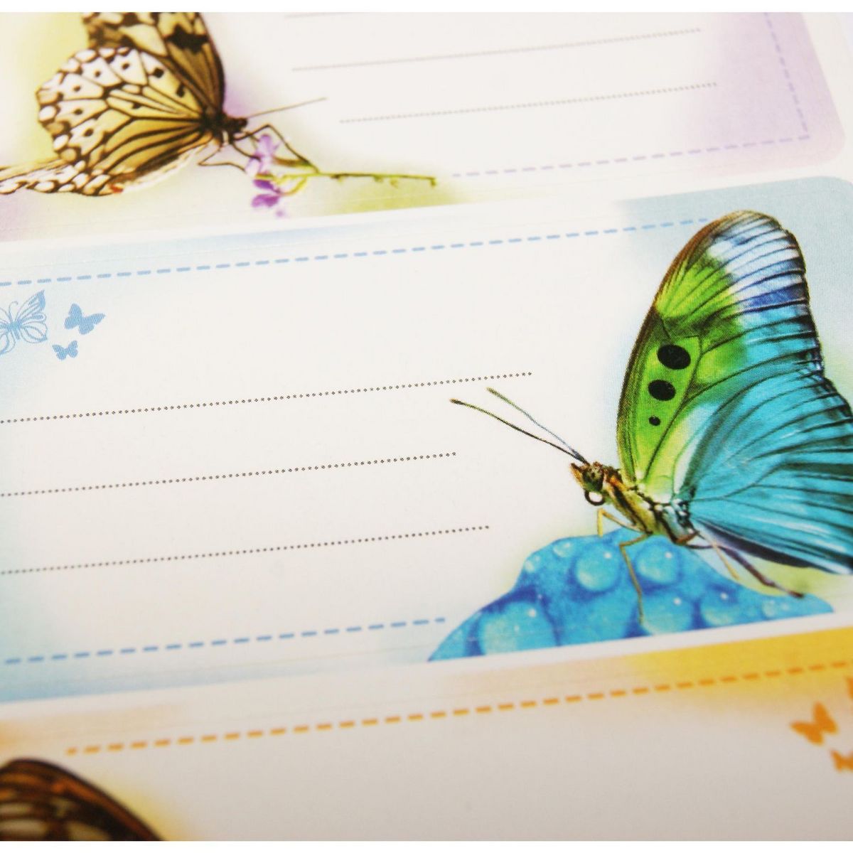 Youdoit 12 étiquettes adhésives scolaires - Rectangle - Photos de papillons