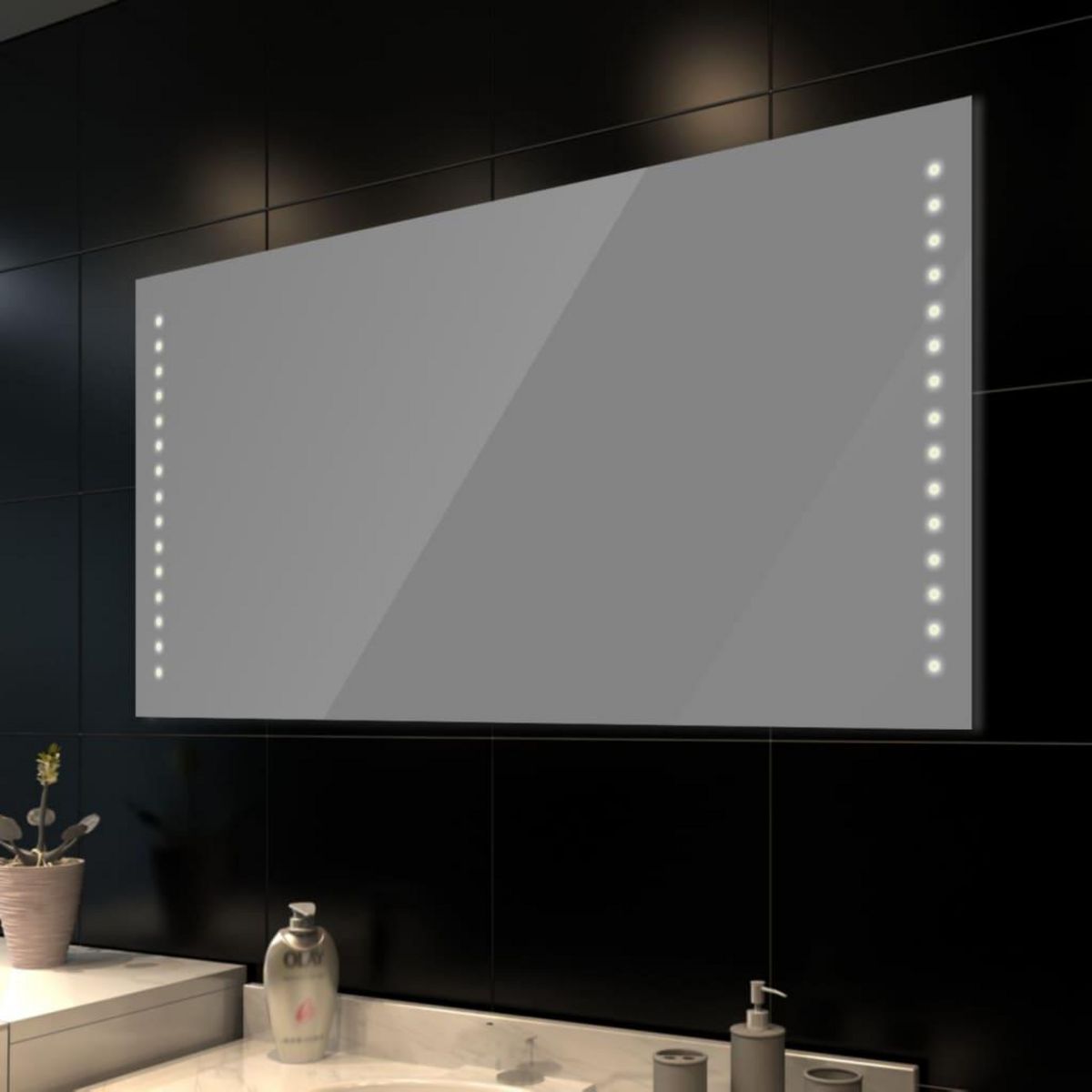 VIDAXL Miroir de salle de bain avec lumieres LED 100 x 60 cm (L x H)