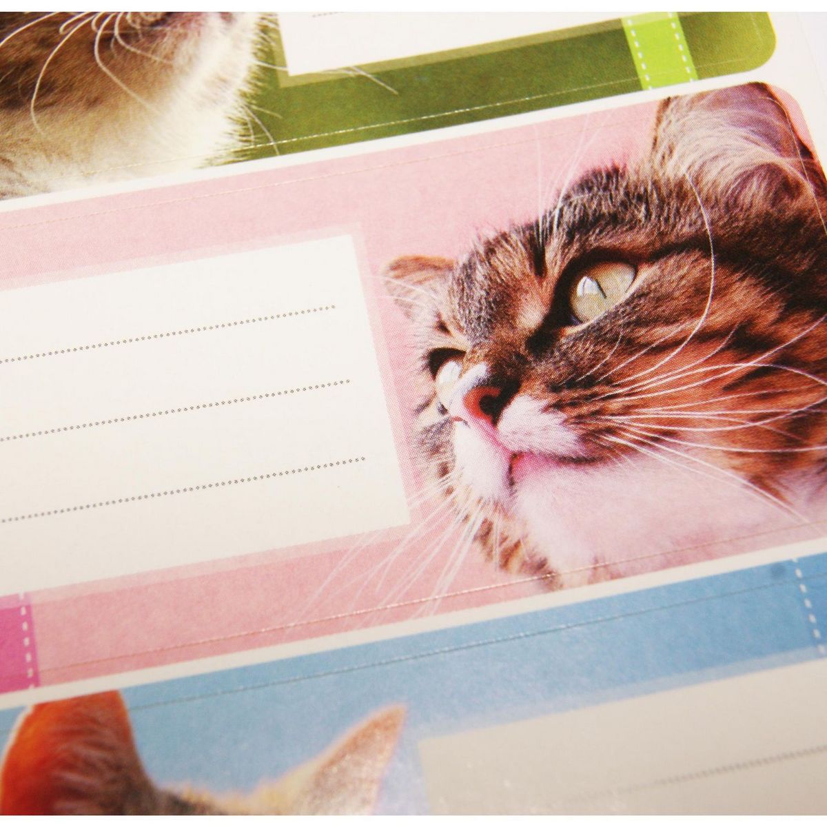 Youdoit 12 étiquettes adhésives scolaires - Rectangle - Photos de chats