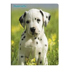 Cahier Pique 17x22cm 32 Pages Double Ligne Chiot Dalmatien Pas Cher A Prix Auchan