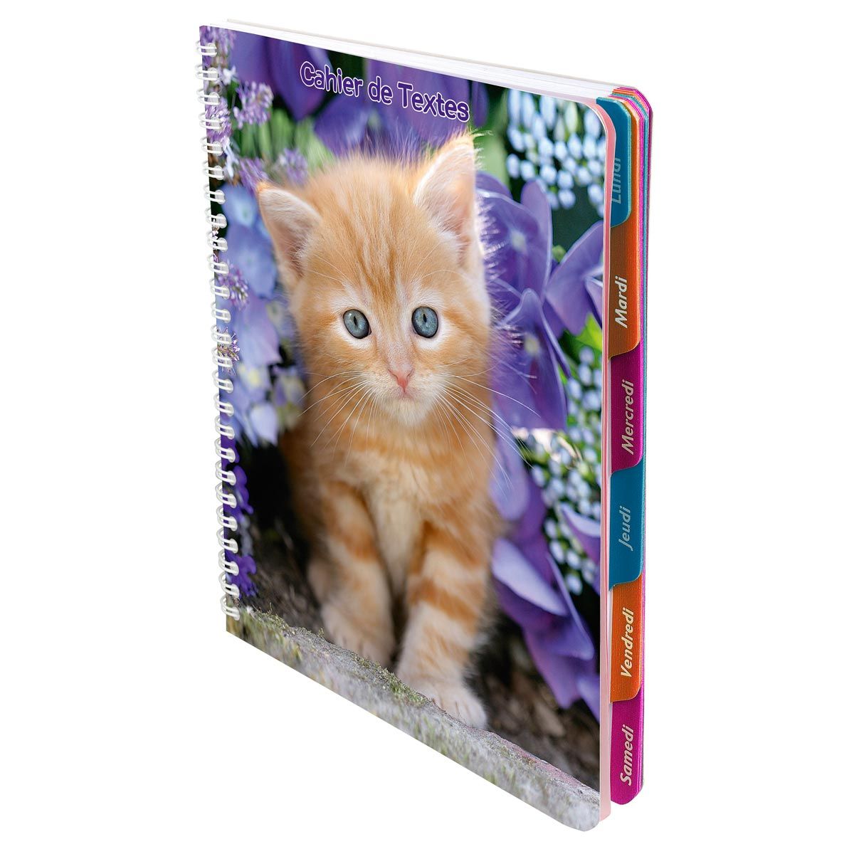 Cahier de texte à spirale fille 17x22cm 148 pages Animaux domestiques Chat  roux pas cher 