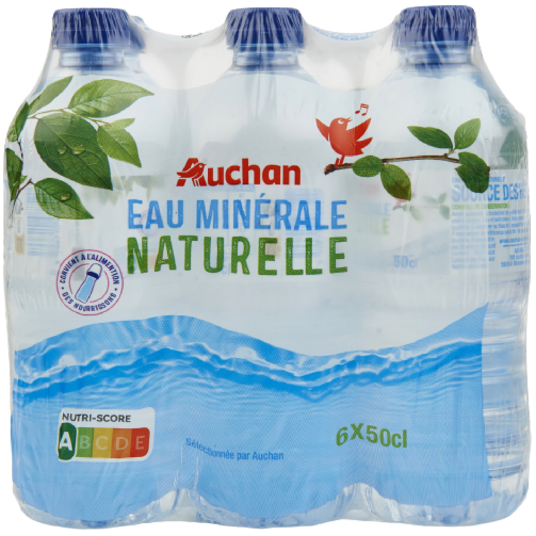 MONT ROUCOUS Eau minérale naturelle plate bouteille 25cl pas cher 