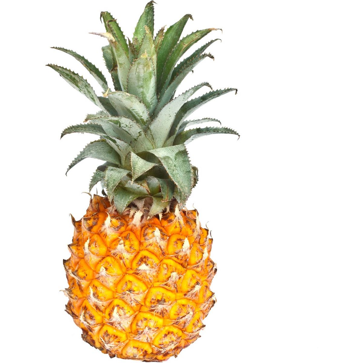 Tout savoir sur l'ananas Victoria