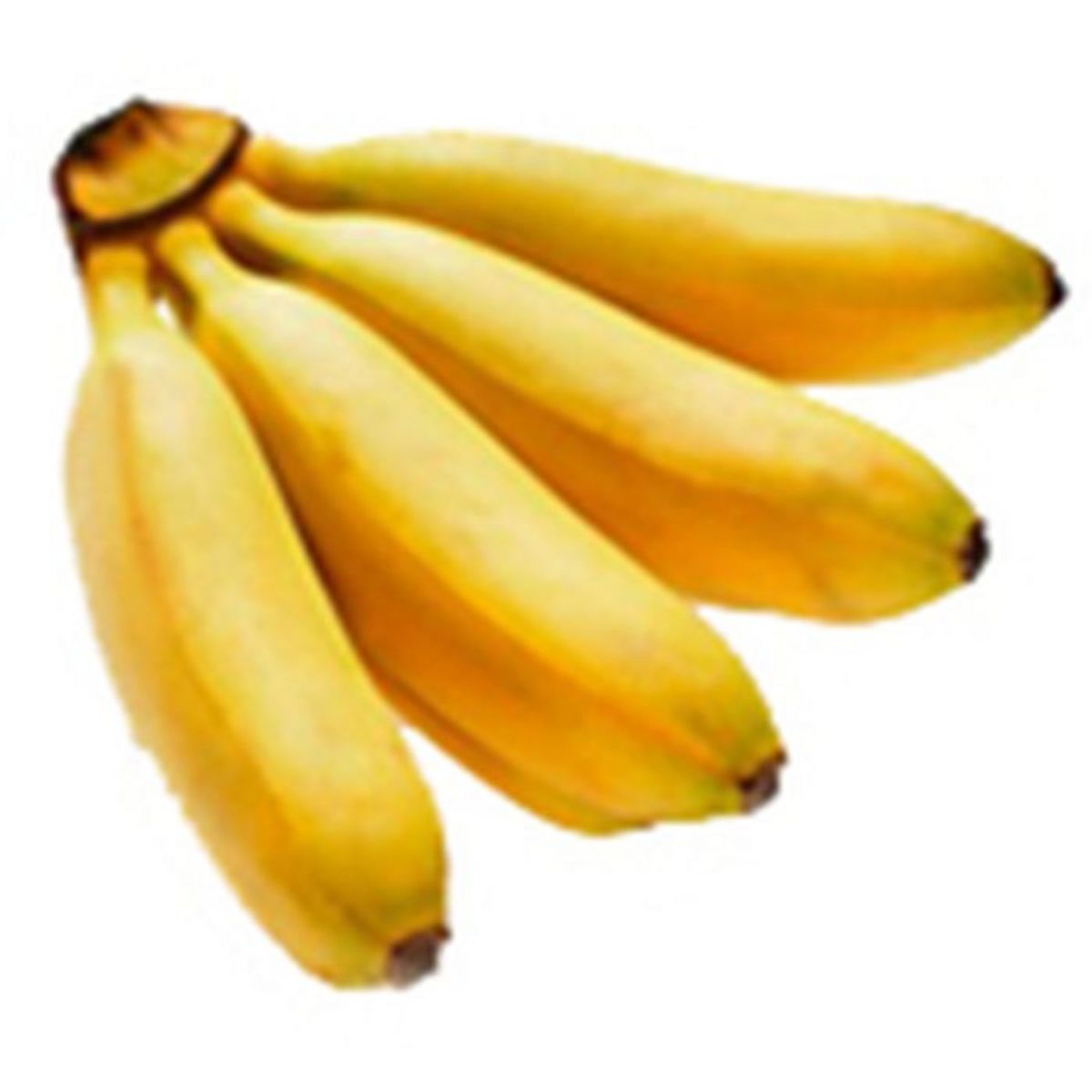Bananes Frecinette 330g - Petites Bananes