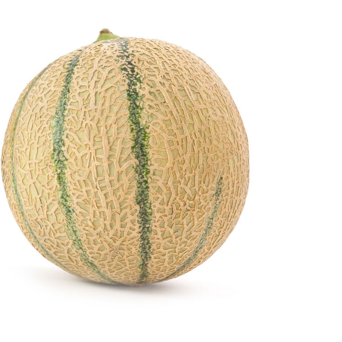Melon charentais vert 1 pièce
