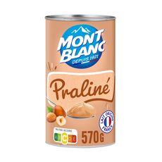 MONT BLANC Crème dessert saveur praliné 570g