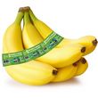 Bananes Fairtrade filière responsable 750g