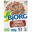 BJORG Quinoa lentilles végétales bio 1 à 2 personnes 250g