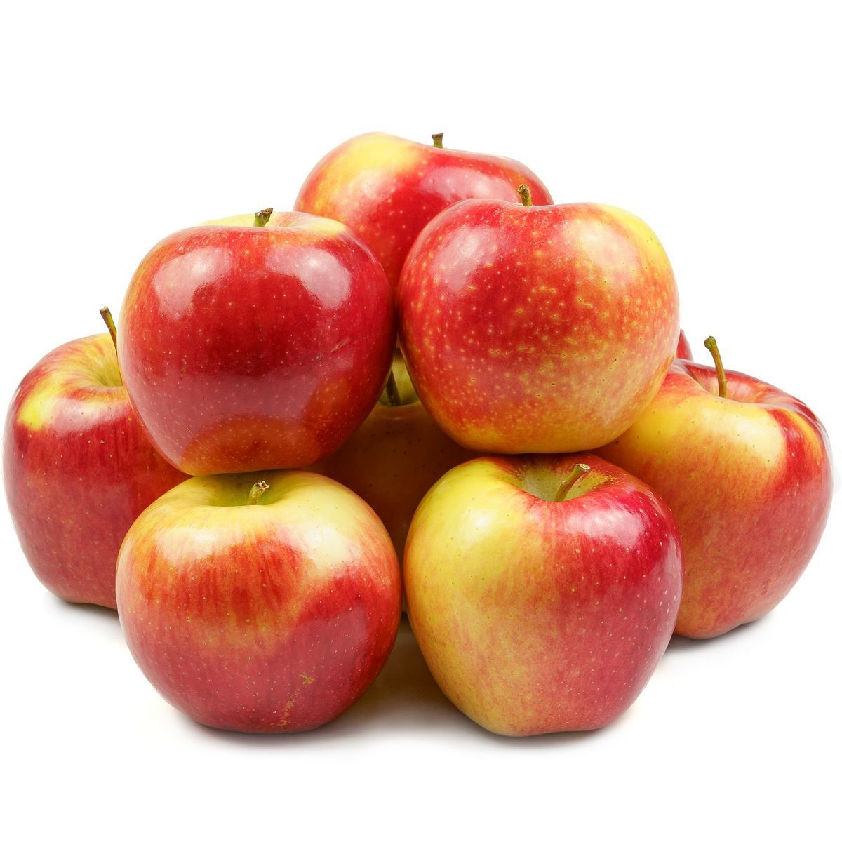 Pommes Reine des Reinettes 6-8 pièces