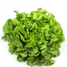 Salade feuille de chêne verte bio 1 pièce