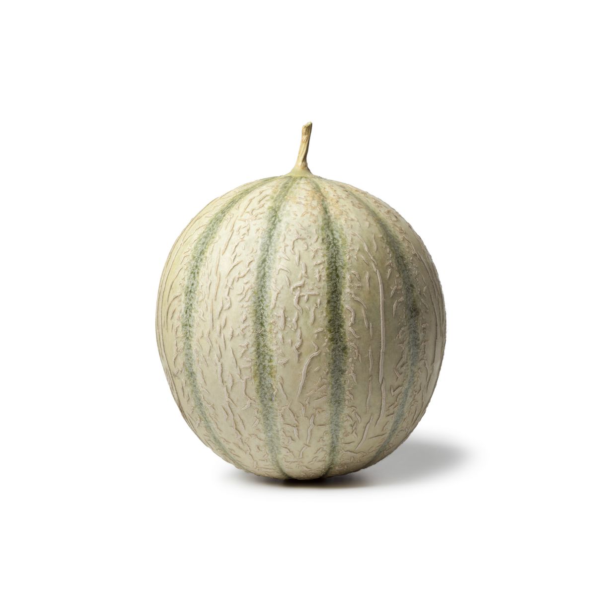 Melon charentais Prix Bas 1 pièce (petit calibre)