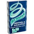 AIRWAVES Chewing-gums sans sucres eucalyptus menthol 5x10 dragées 70g