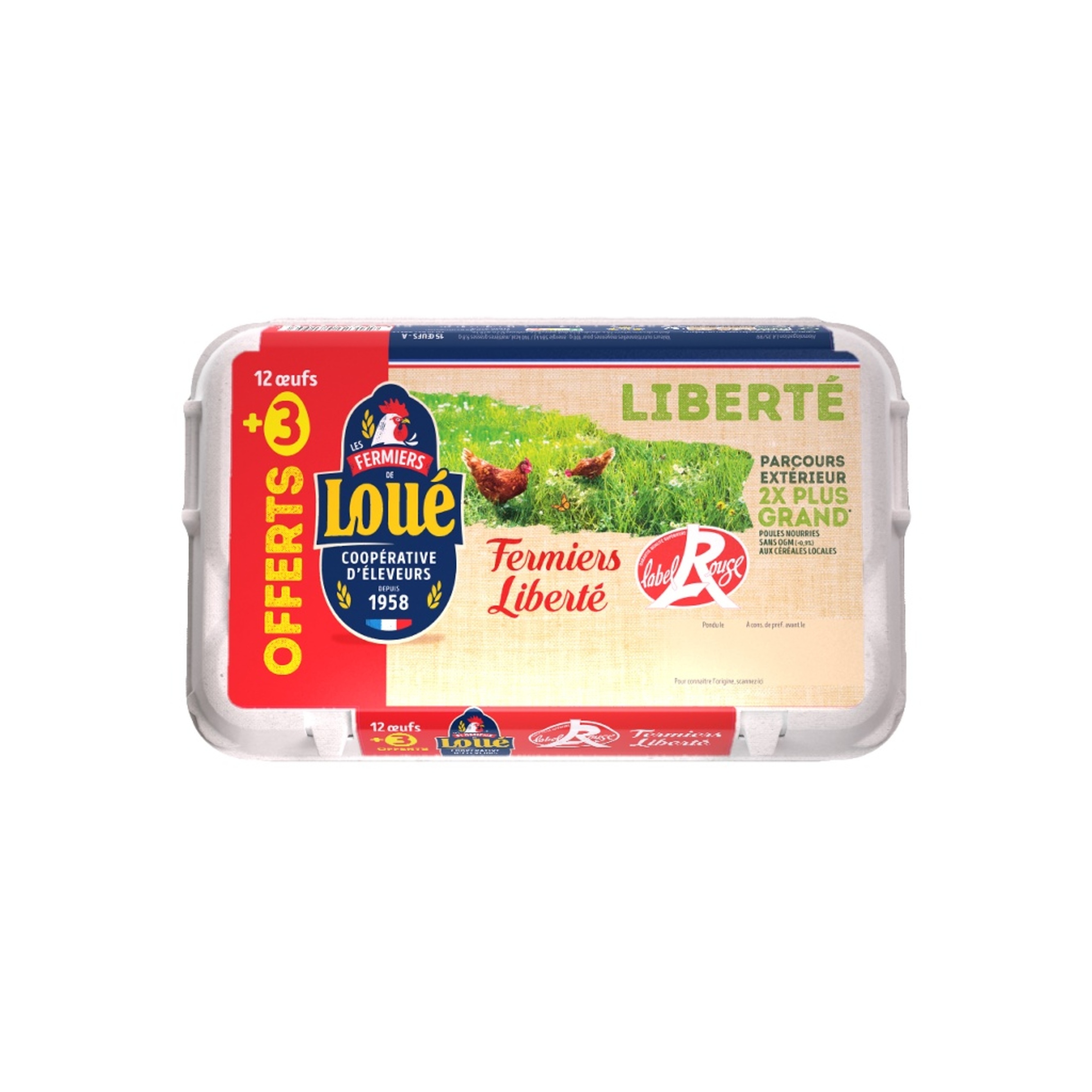 Oeufs frais de poules en liberté (12)