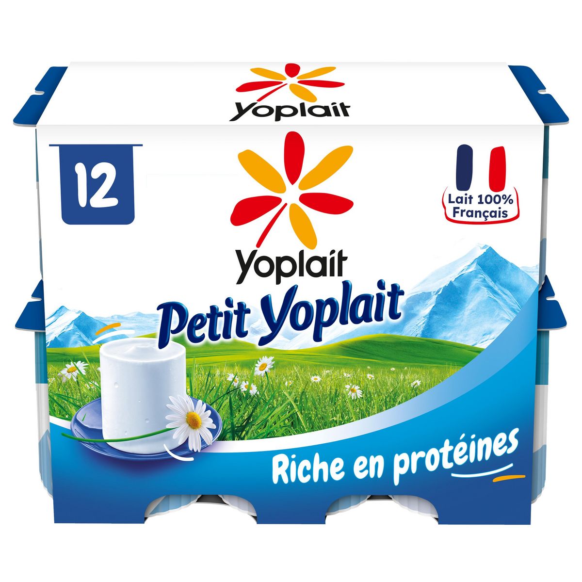 YOPLAIT Petit-suisse 3.8% MG 12x60g pas cher 