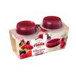 RIANS Panna cotta et coulis de fruits rouges 2x120g 2x120g