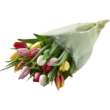 FLEURS Bouquet de 14 tulipes arlequin 1 bouquet