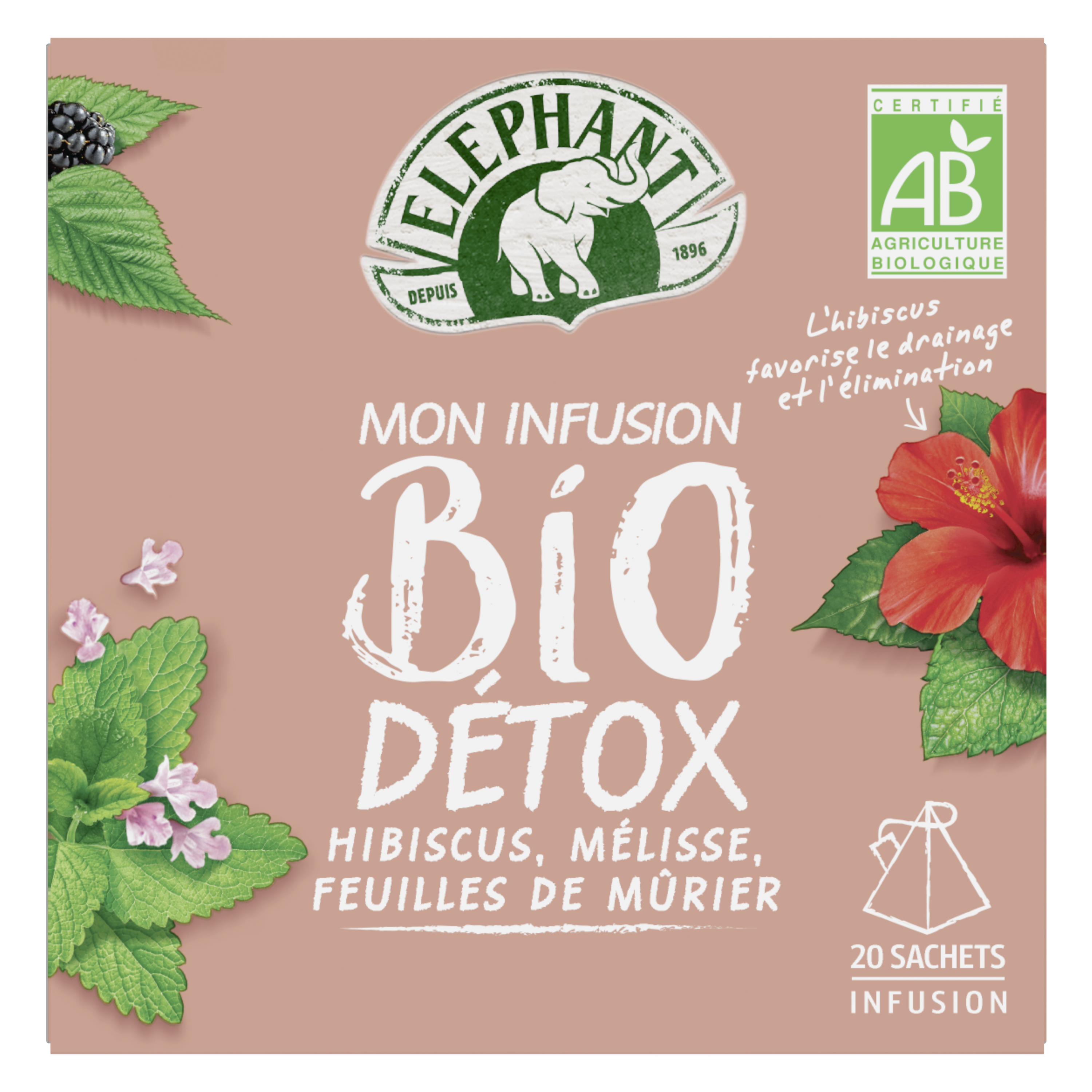 ELEPHANT Infusion bio détox hibiscus mélisse et feuilles de mûrier