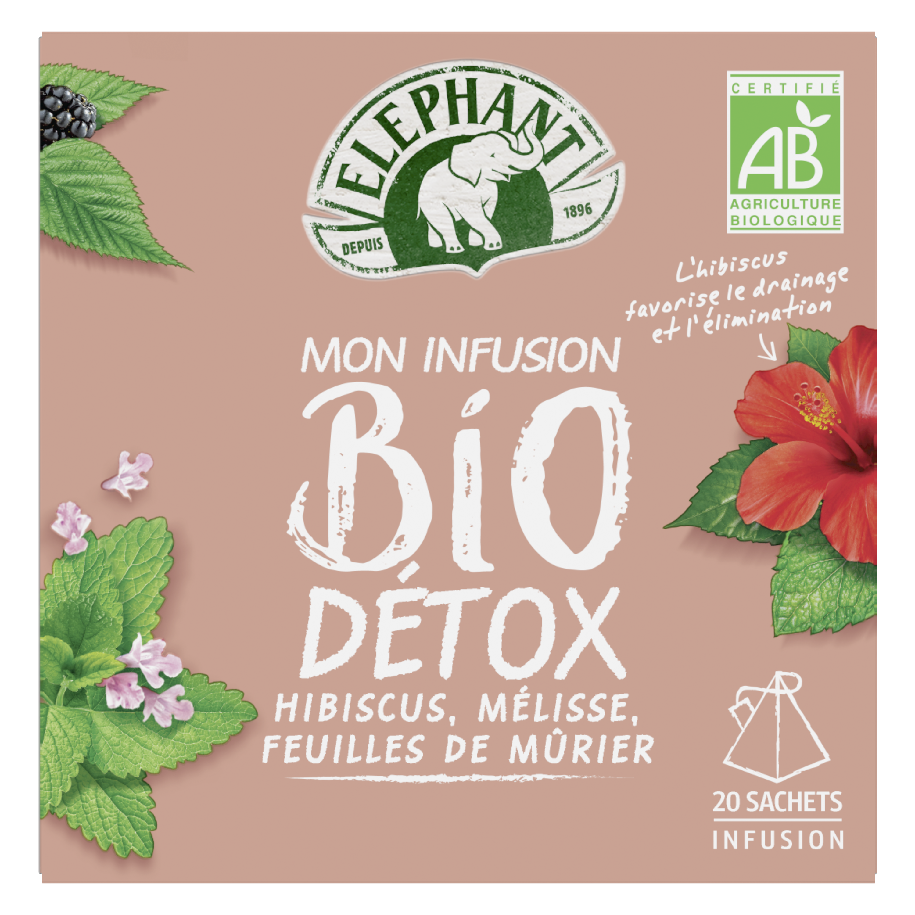LOT DE 8 - CLIPPER® Détox Infusion hibiscus orties et réglisses bio - 20  sachets - Cdiscount Au quotidien