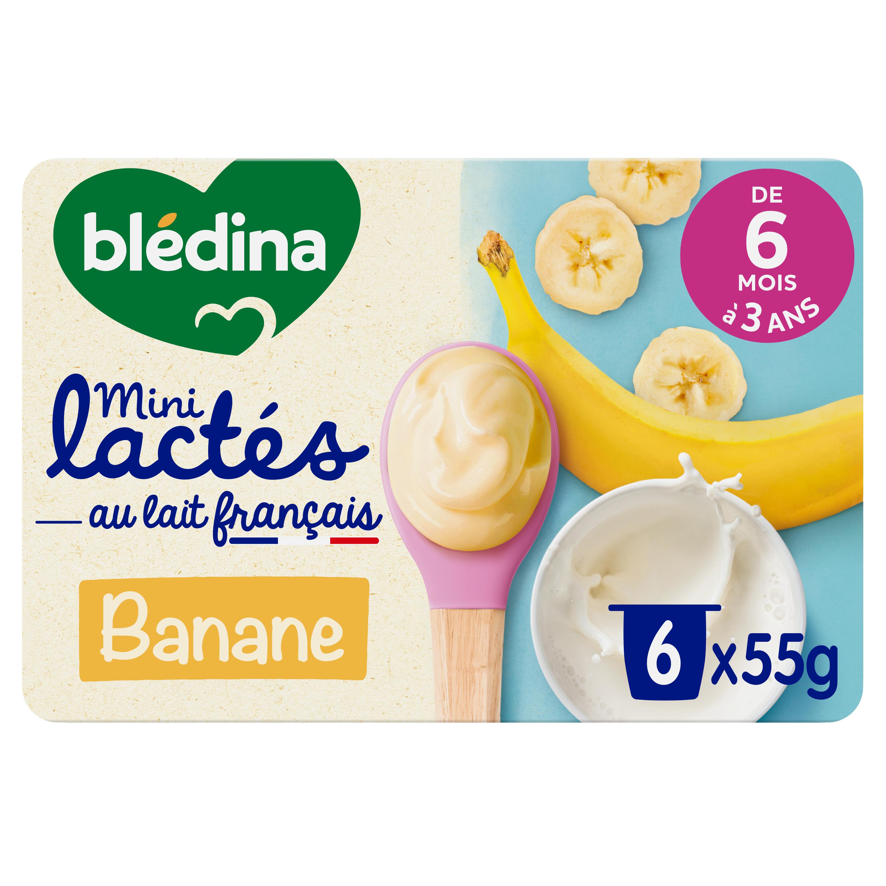 Grossiste Petits pots bananes dès 4mois 2x130g - BLEDINA