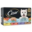 CESAR Senior 10+ assortiment barquettes de pâtée viandes en gelée pour chien 4x100g