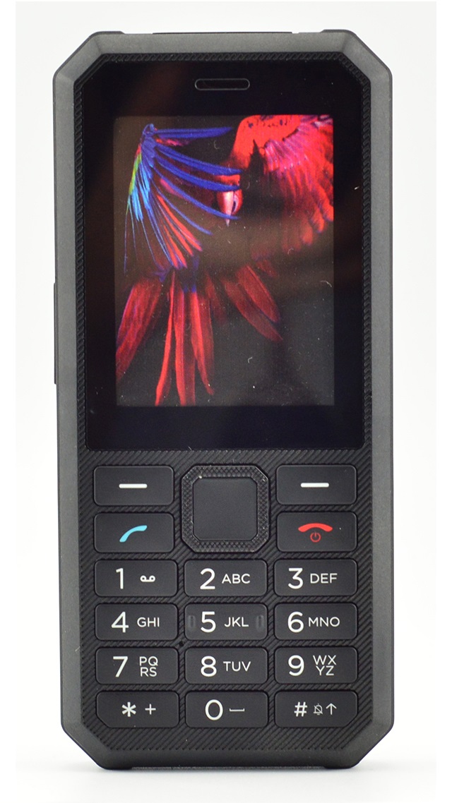 QILIVE Téléphone portable BIG SCREEN 888808 - Double SIM - Rose